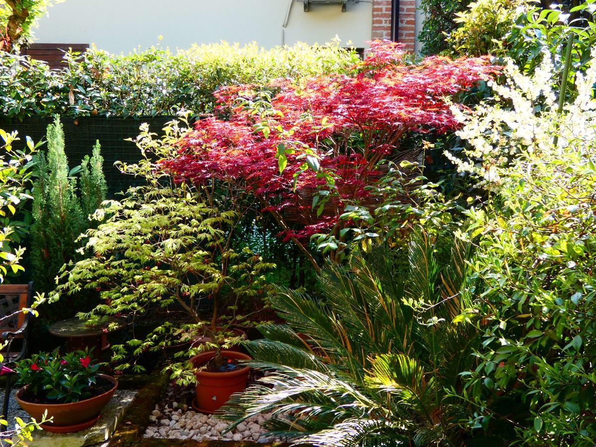 Apartamento Garden Sweet House Desenzano Desenzano del Garda Exterior foto